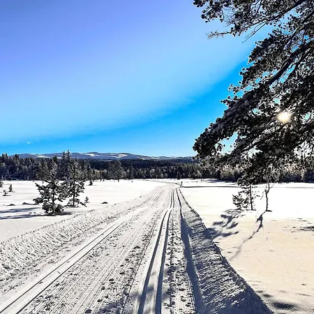 Lovely In Tisleidalen