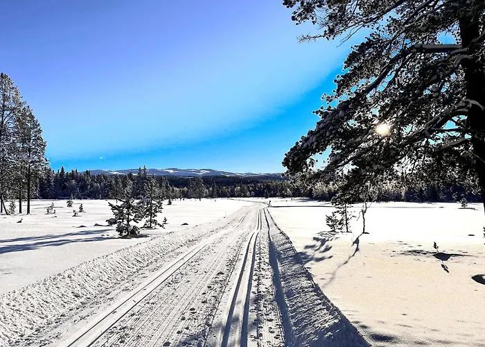 Lovely In Tisleidalen